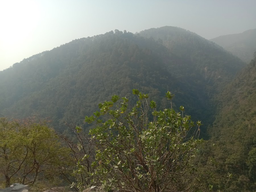 Thal Kedar - Photo 10