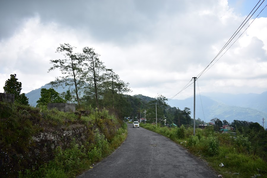 Sherpa View Point - Photo 7
