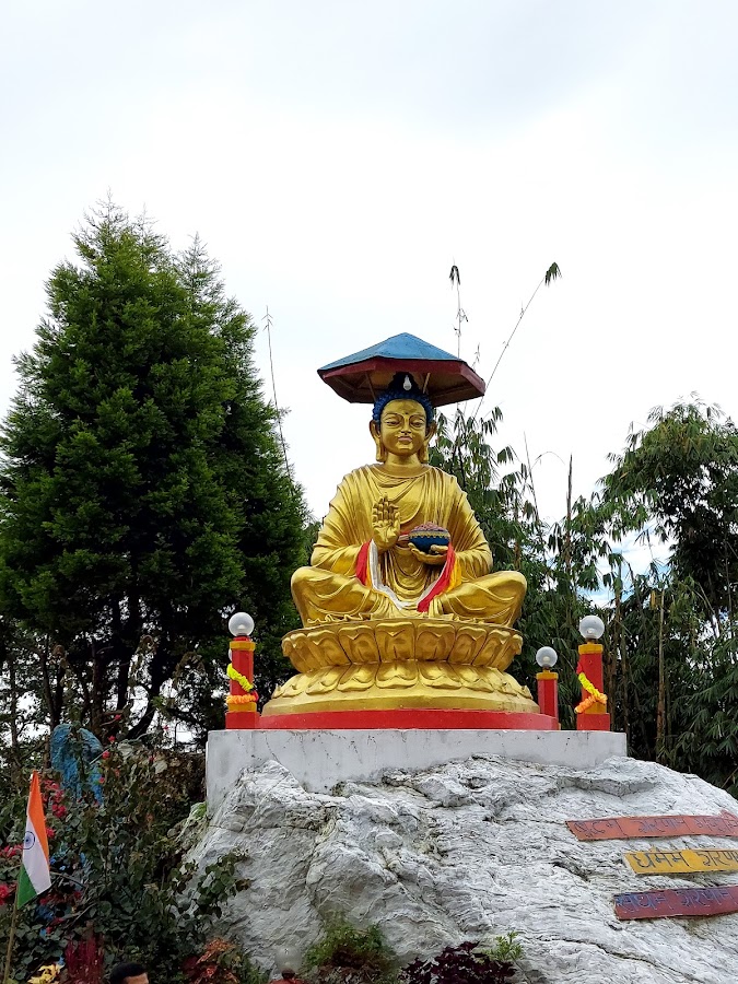 Sherpa View Point - Photo 5