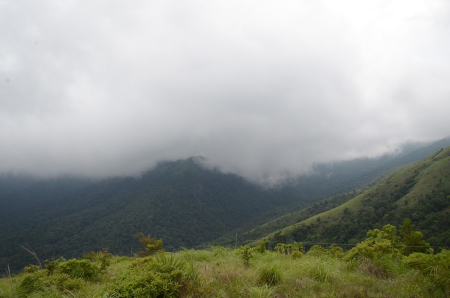 Pakshipathalam - Photo 2