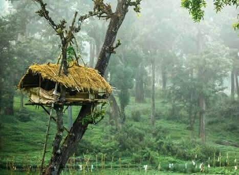 Pakshipathalam - Photo 4