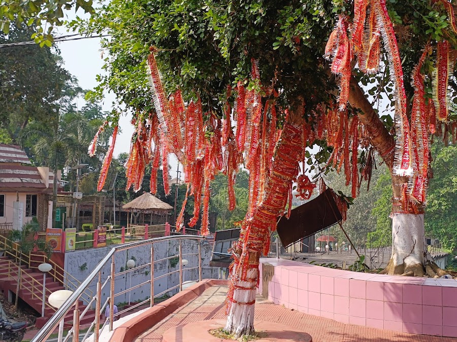Kasba Kali Bari - Photo 8