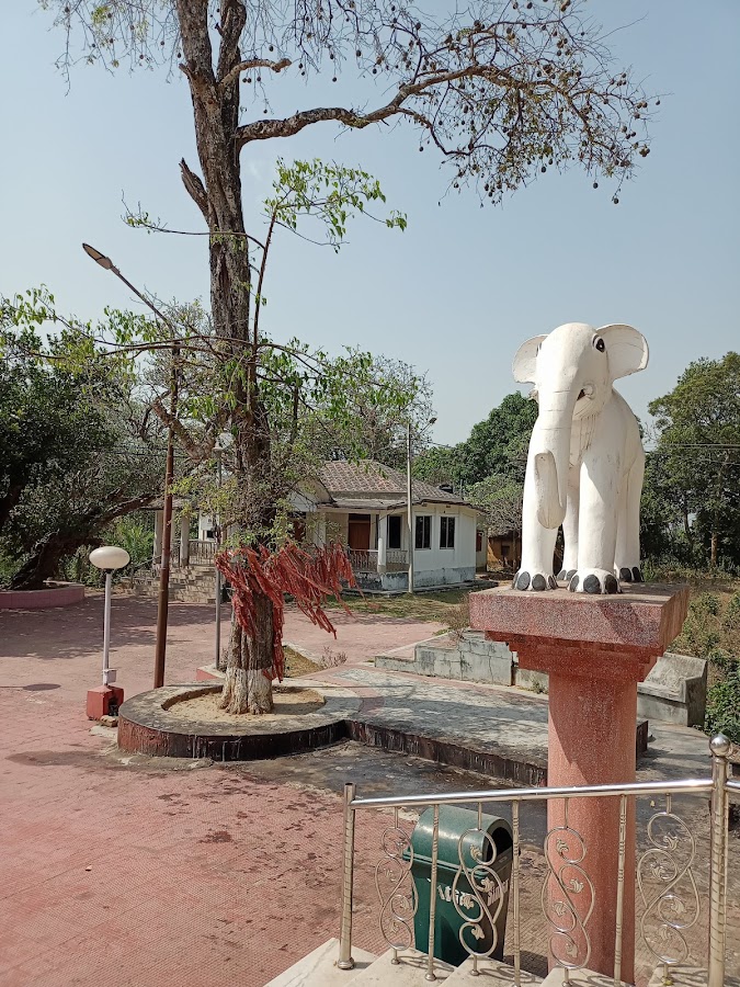 Kasba Kali Bari - Photo 10