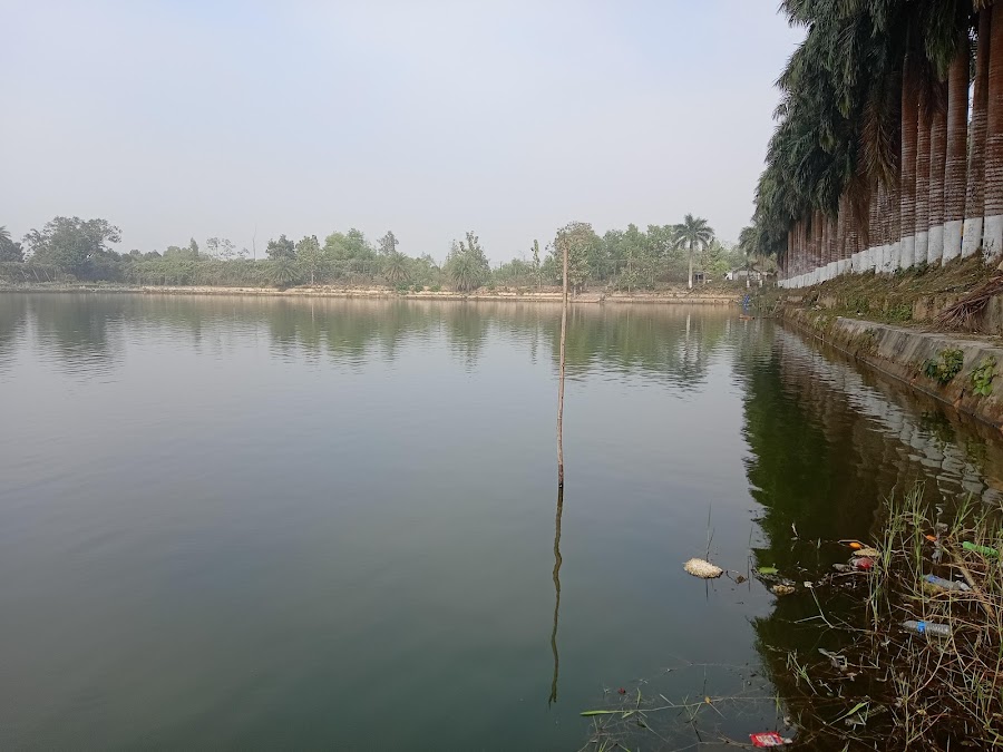 Kasba Kali Bari - Photo 3