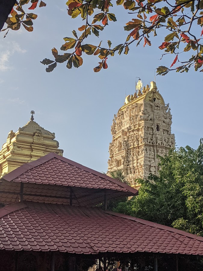 Sarpavaram - Photo 4