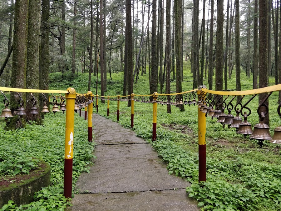 Shri Tadkeshwar Dham Mandir - Photo 4