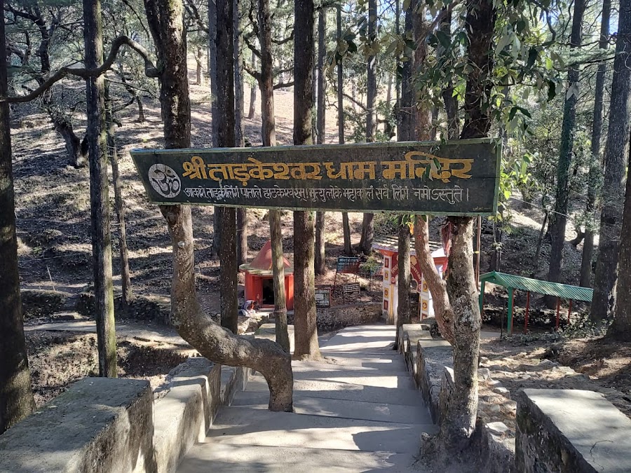 Shri Tadkeshwar Dham Mandir - Photo 5