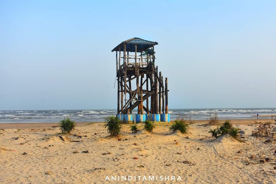 Tajpur Beach - Photo 6