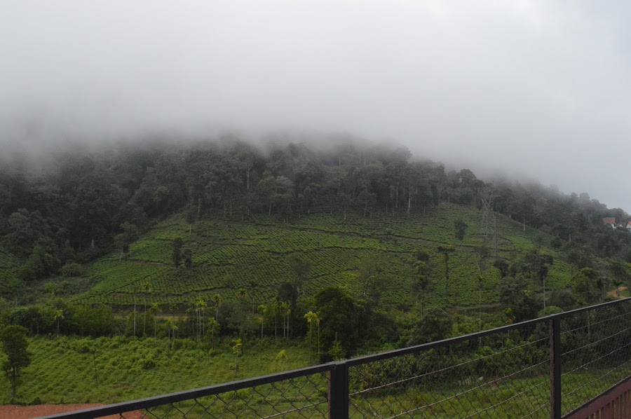 Lakkidi View Point - Photo 3