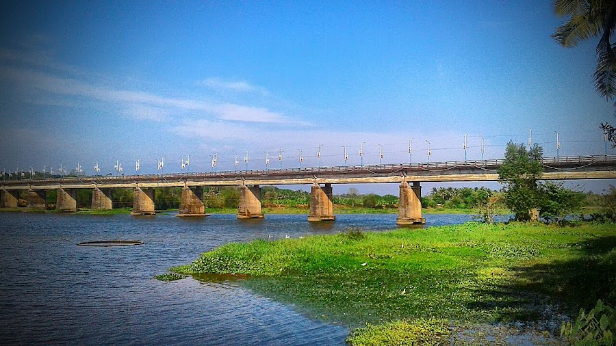 Lakkidi View Point - Photo 4