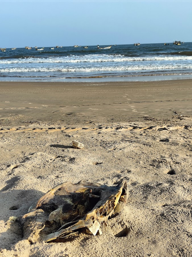 Vodarevu Beach - Photo 4