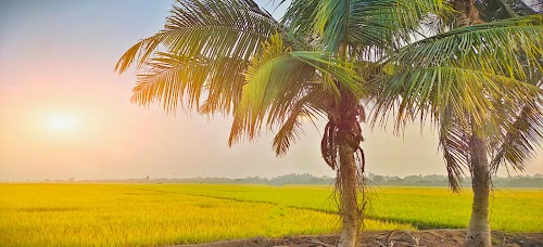 Chirala - Photo 4