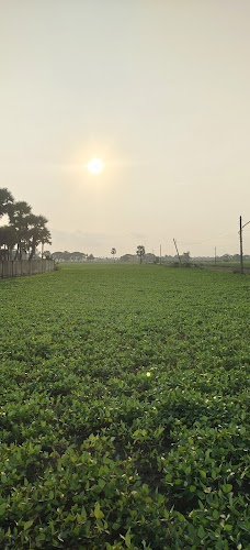 Chirala - Photo 2