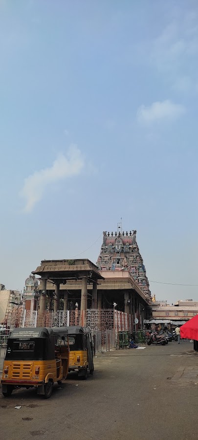 Parthasarathy Temple - Photo 2
