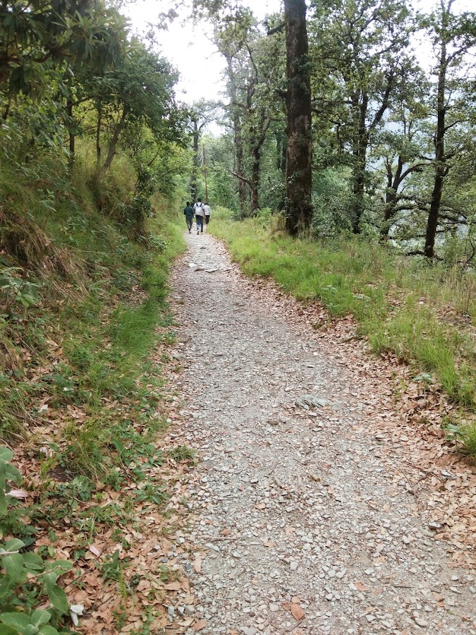 Naina Peak West - Photo 3