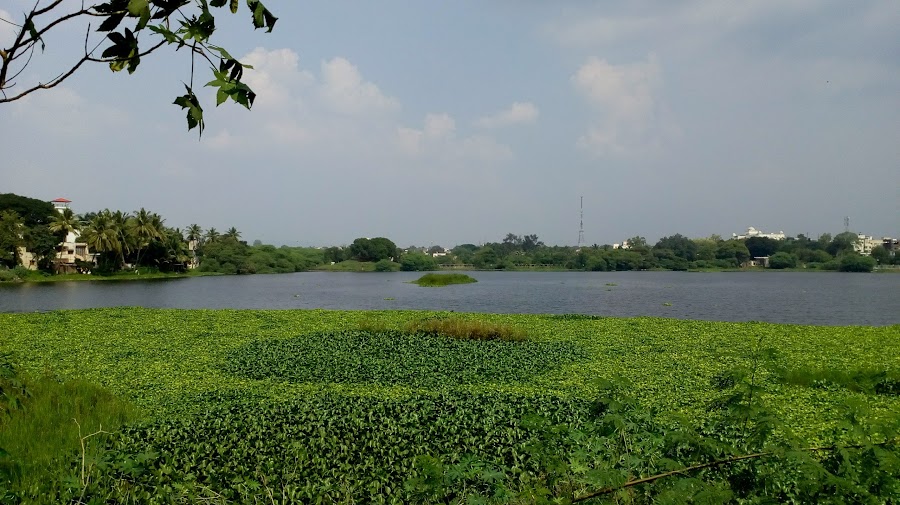 Salim Ali Lake - Photo 2