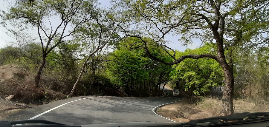Melagiri Hills - Photo 3