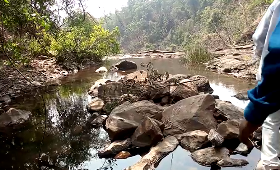 Bhatsa River Valley - Photo 3