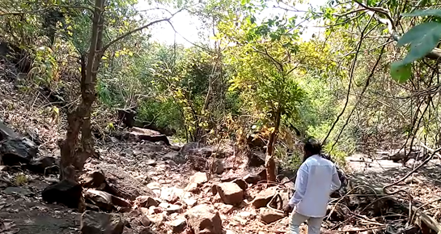 Bhatsa River Valley - Photo 4