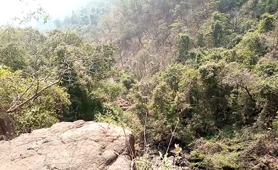 Bhatsa River Valley - Photo 2