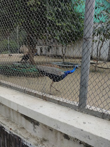 Bir Talab Zoo - Photo 3