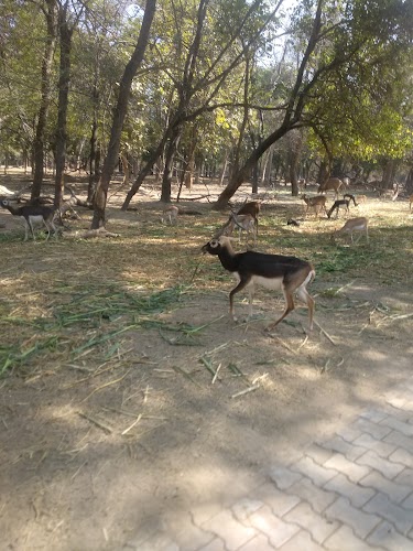 Bir Talab Zoo