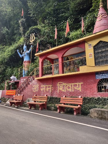Bilaspur - Photo 4
