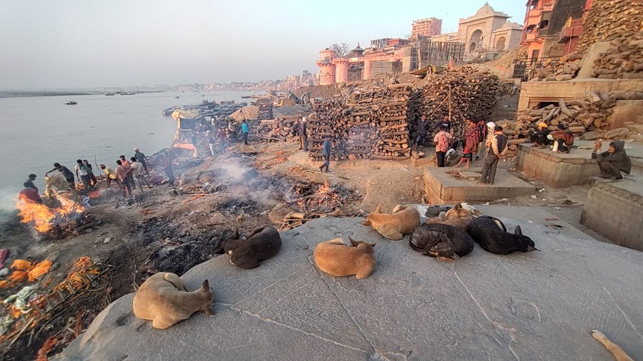 Manikarnika Ghat - Photo 4