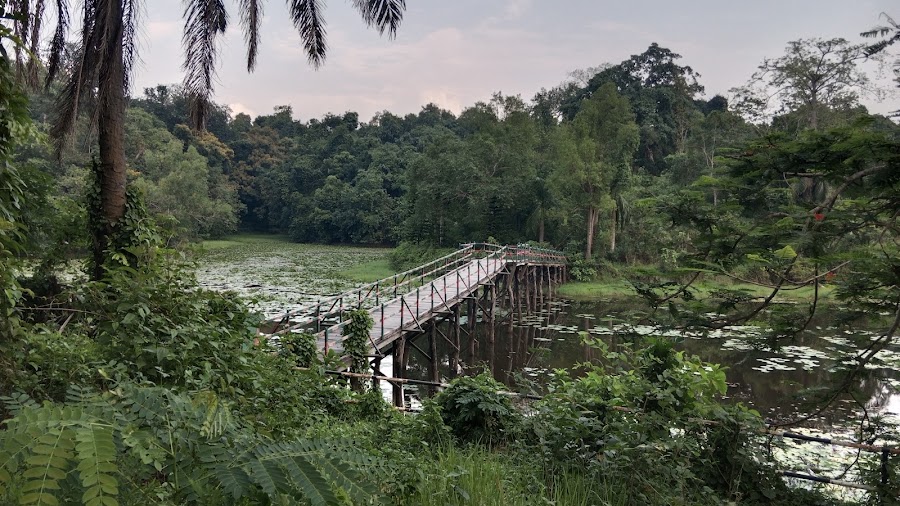Sepahijala Wildlife Sanctuary & Zoo - Photo 6