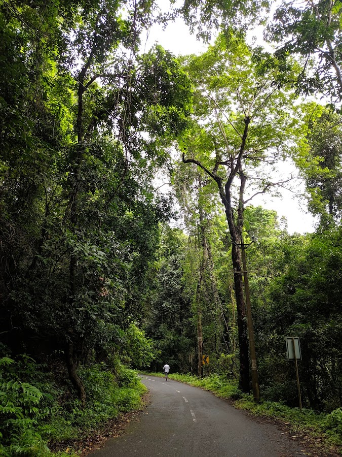 Golden Valley - Photo 4