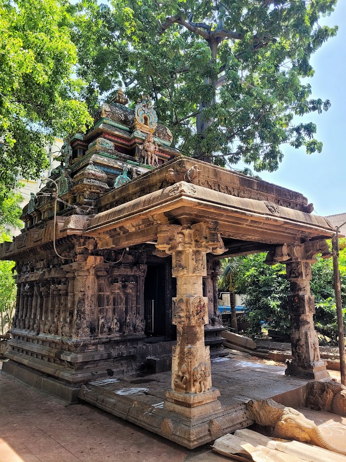 Tenkasi Kasi Viswanathar Temple - Photo 3