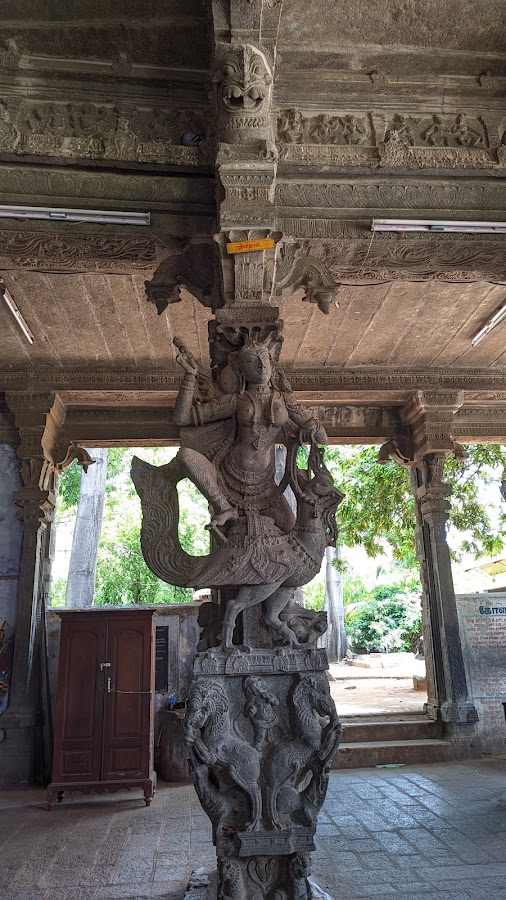 Tenkasi Kasi Viswanathar Temple - Photo 4