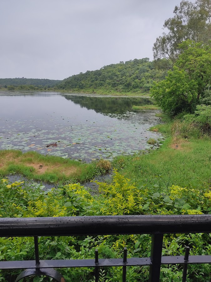 Sangram Sagar Lake - Photo 3