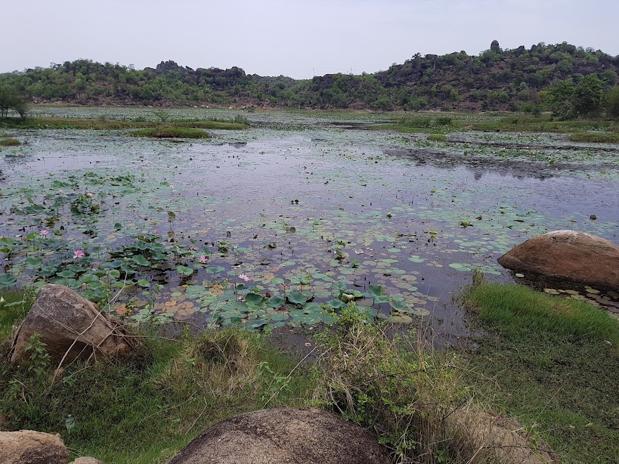 Sangram Sagar Lake - Photo 2