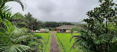 Amboli - Photo 2
