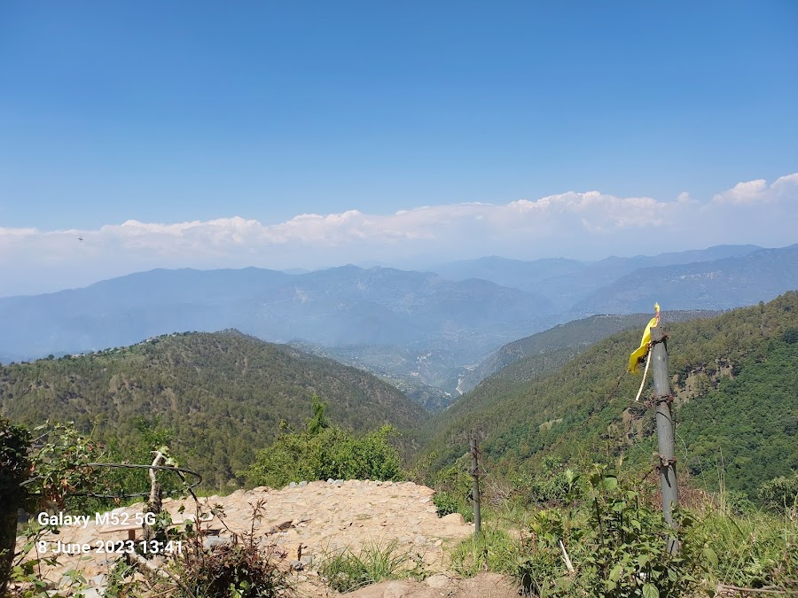 Kodia Jungle - Photo 3