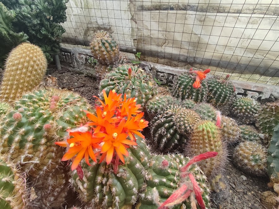 Pine View Nursery - Photo 10