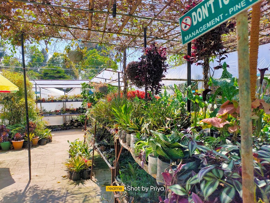 Pine View Nursery - Photo 5