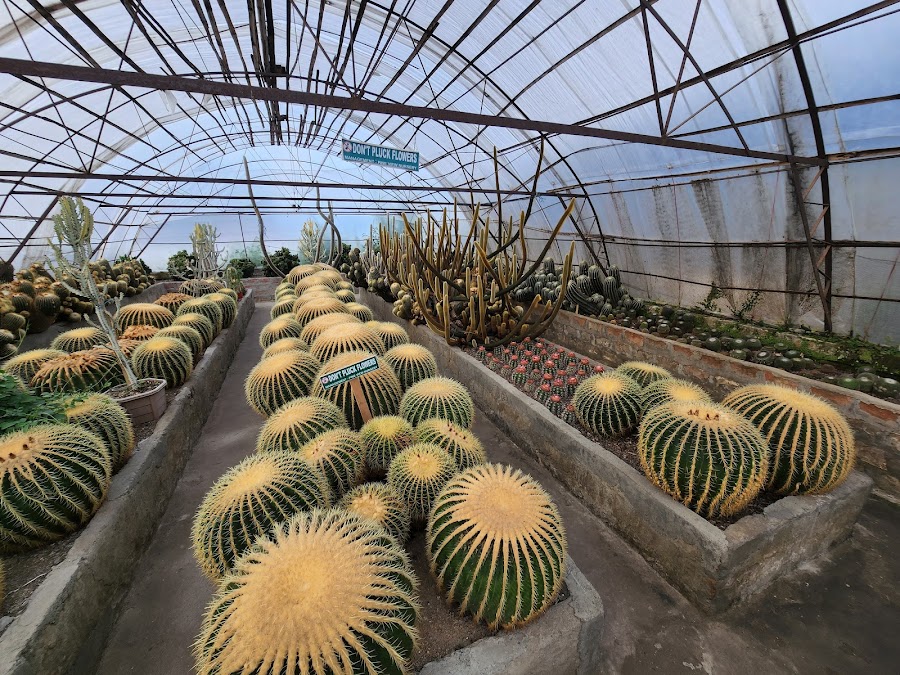 Pine View Nursery - Photo 7