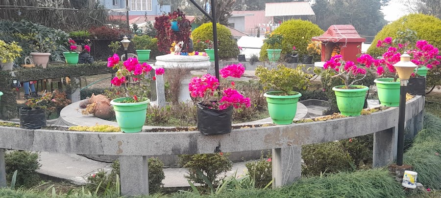 Pine View Nursery - Photo 4