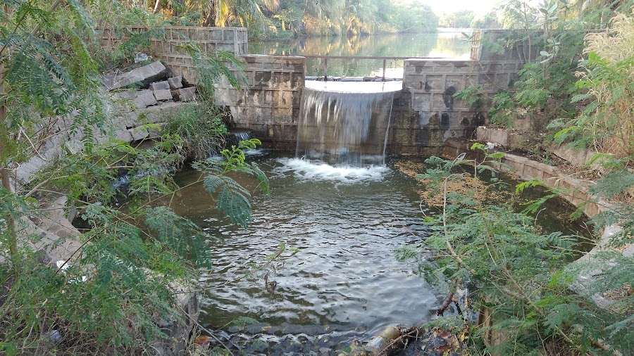 Rajiv Gandhi Deer Park - Photo 2