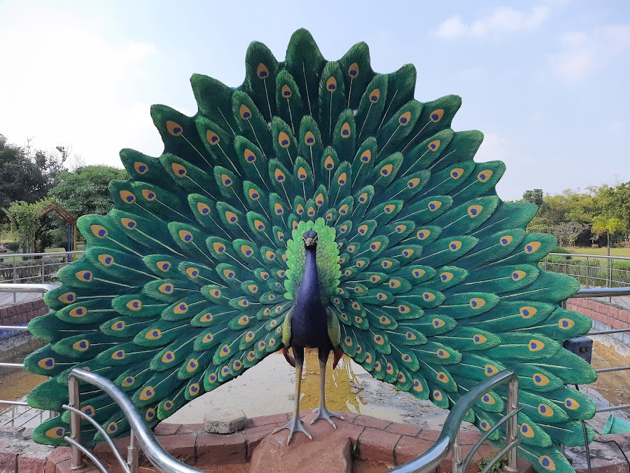 Rajiv Gandhi Deer Park - Photo 6