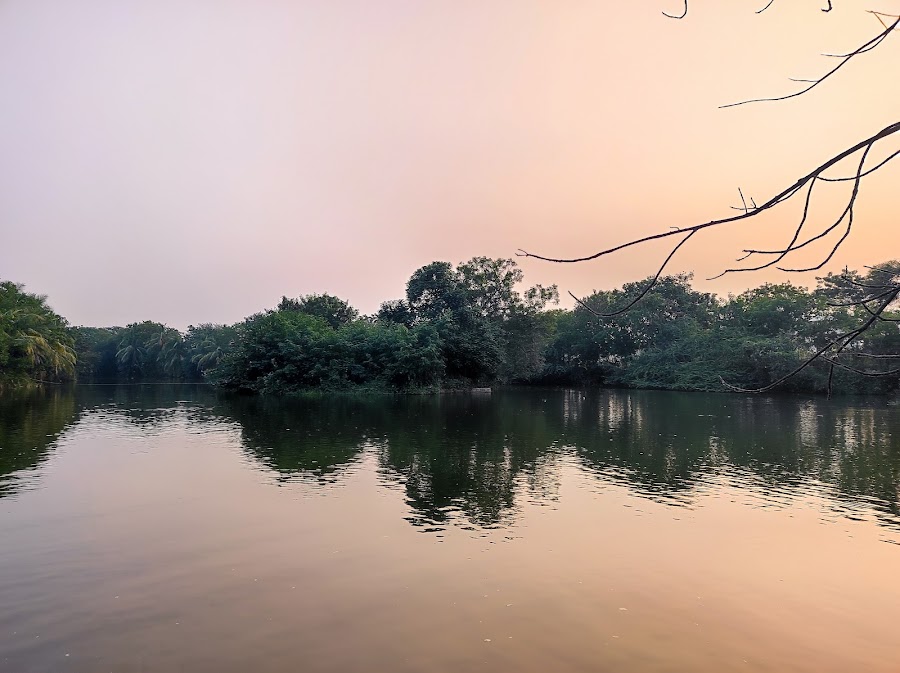 Rajiv Gandhi Deer Park - Photo 5
