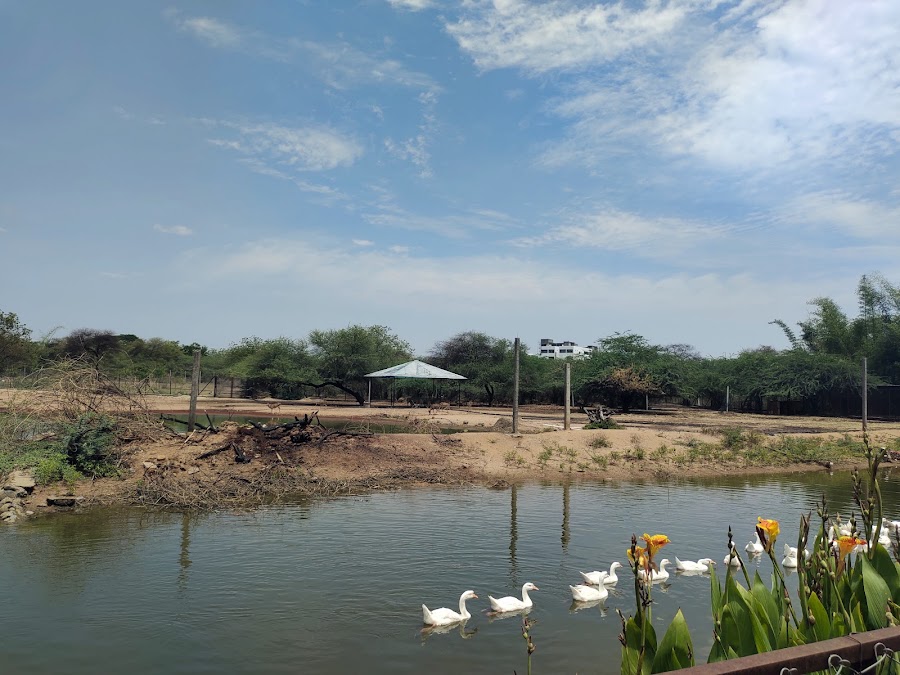 Rajiv Gandhi Deer Park - Photo 3