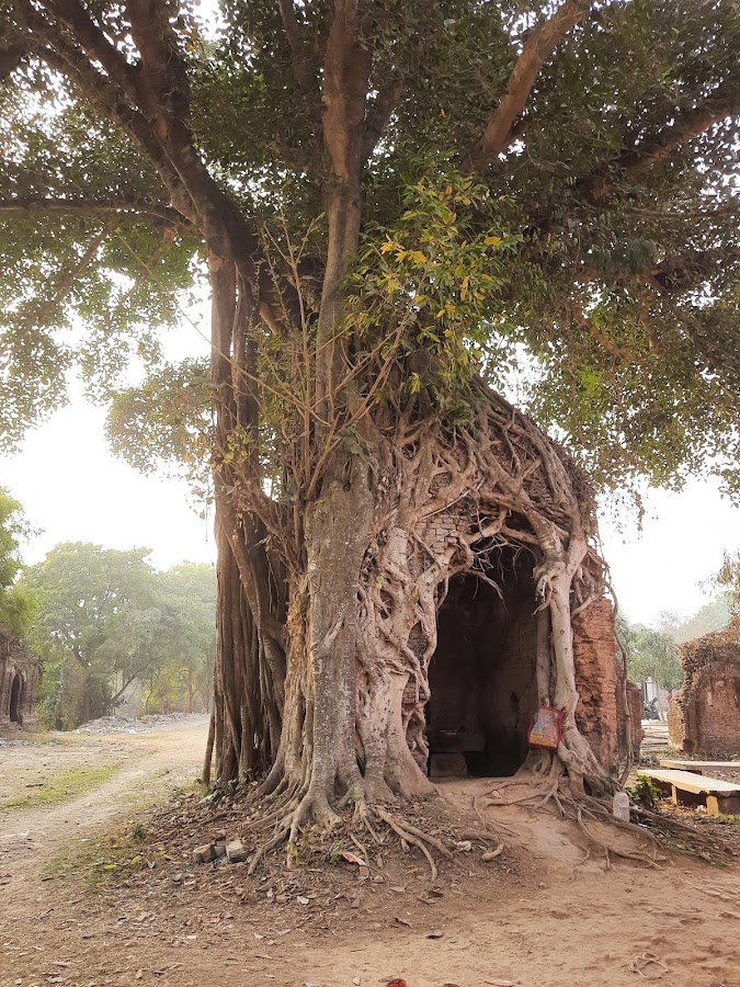 Kiriteswari Temple - Photo 6