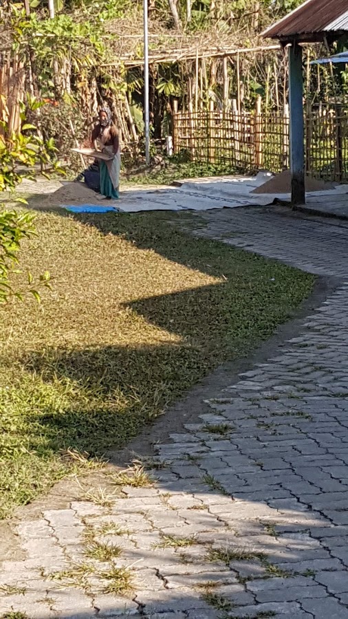 Kamalabari Satra - Photo 2