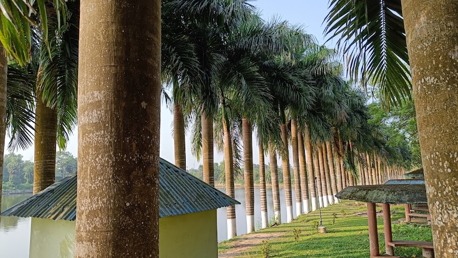 Kamalasagar Lake - Photo 3