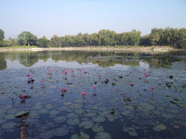 Kamalasagar Lake - Photo 4