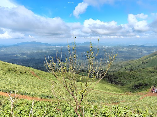 Bhadra Wildlife Sanctuary - Photo 4