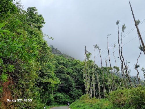 Bhadra Wildlife Sanctuary - Photo 2